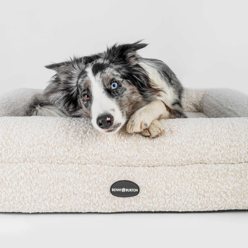 Hundebett Barklay Größe M mit Bouclébezug