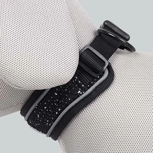 Hundehalsband Ultimate Fit Control Classic