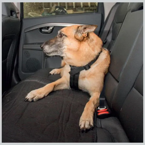 Auto Sicherheitsgeschirr für Hunde