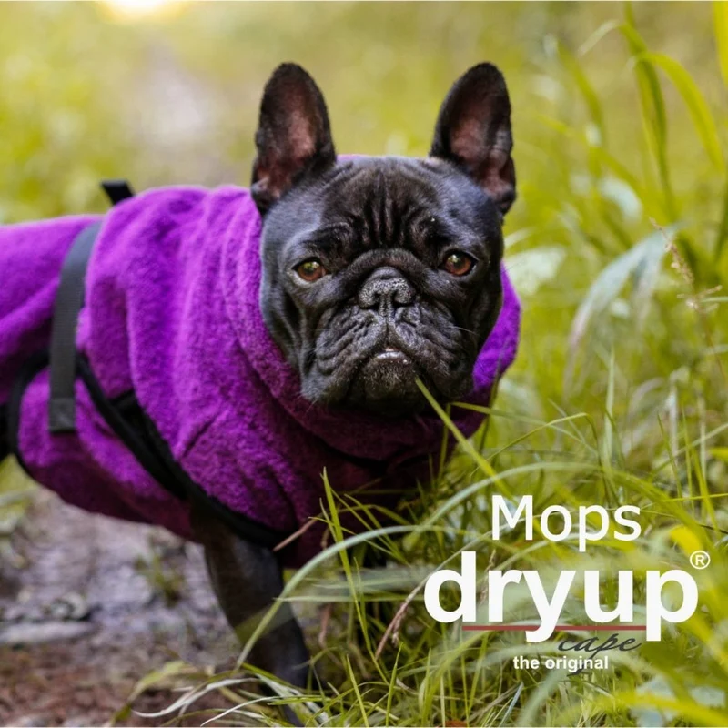 Dryup Cape Hundebademantel Mops und Bulldogge Bilberry