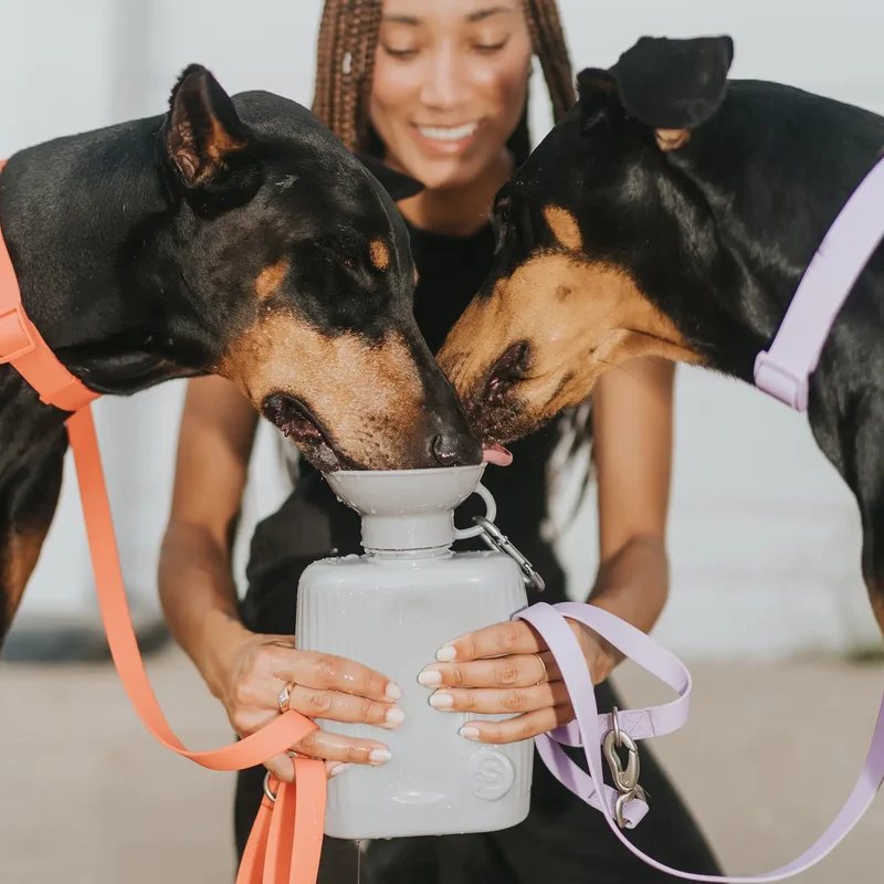 Reiseflasche für Hunde XL 1300ml Grün