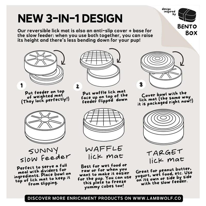 3-IN-1-BENTO Rose