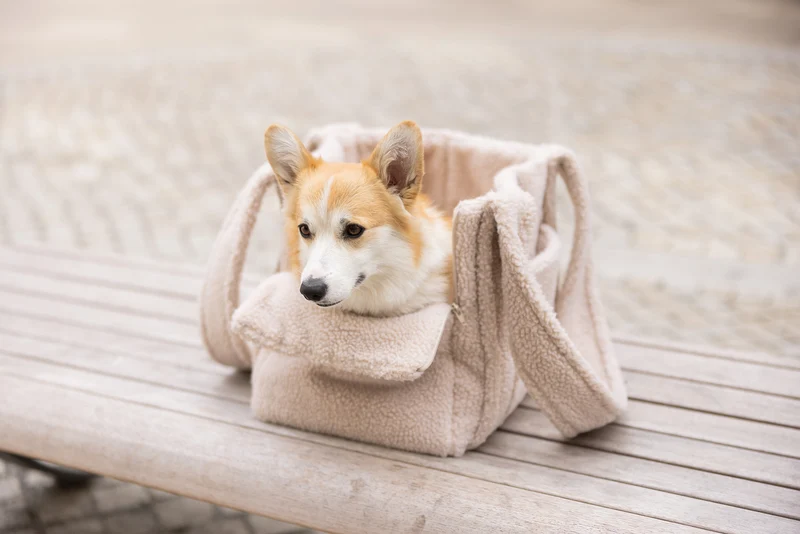 Hundetasche Teddy Beige handgefertigt