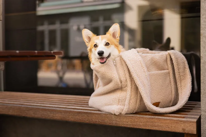 Hundetasche Teddy Beige handgefertigt