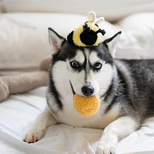 Schnüffelspielzeug BEE POP Biene