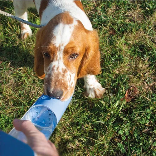 Wasserflasche 450 ml