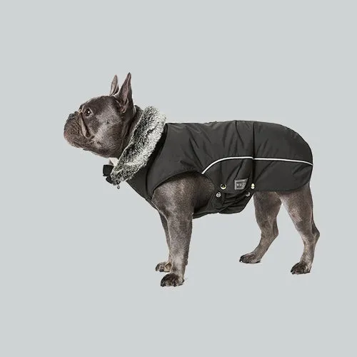 Hunde Wintermantel Amundsen Mops & Co.