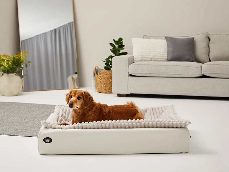 Hundebett KUDDE Pastell Kunstleder