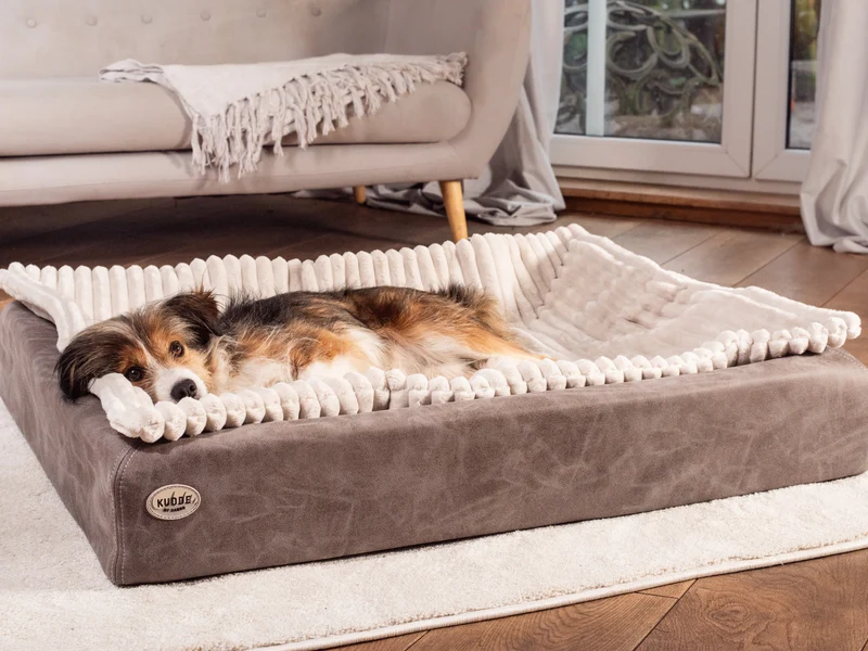 Hundebett KUDDE veganes Wildleder