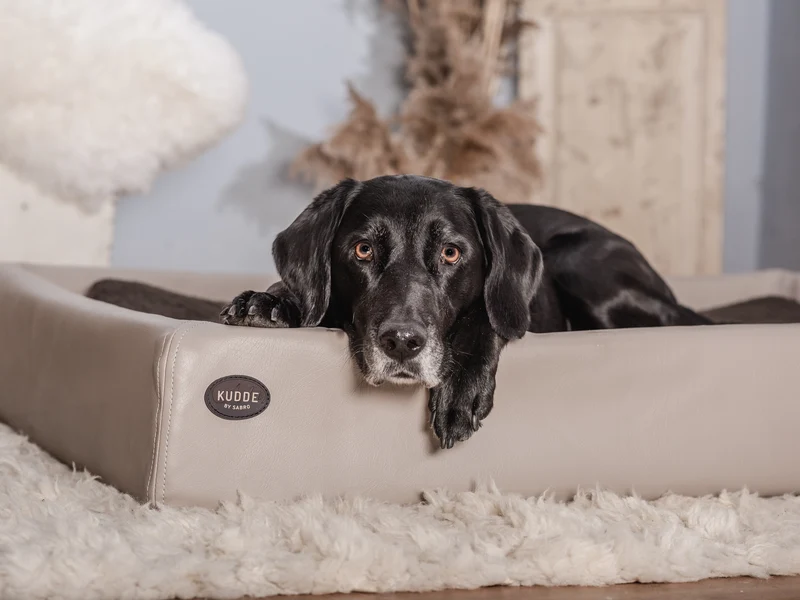 Hundebett KUDDE Kunstleder