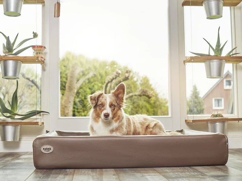 Hundebett KUDDE Kunstleder