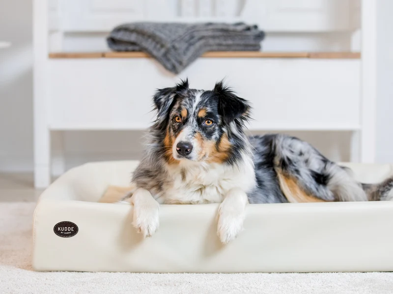 Hundebett KUDDE Kunstleder