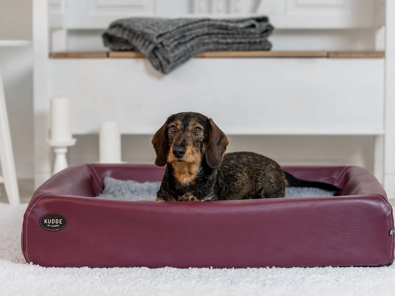 Hundebett KUDDE Kunstleder