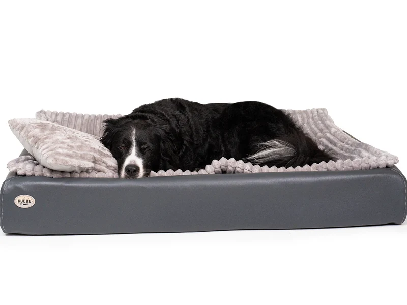 All-In Relax Bundle | KUDDE Hundebett + Einlage & Kissen