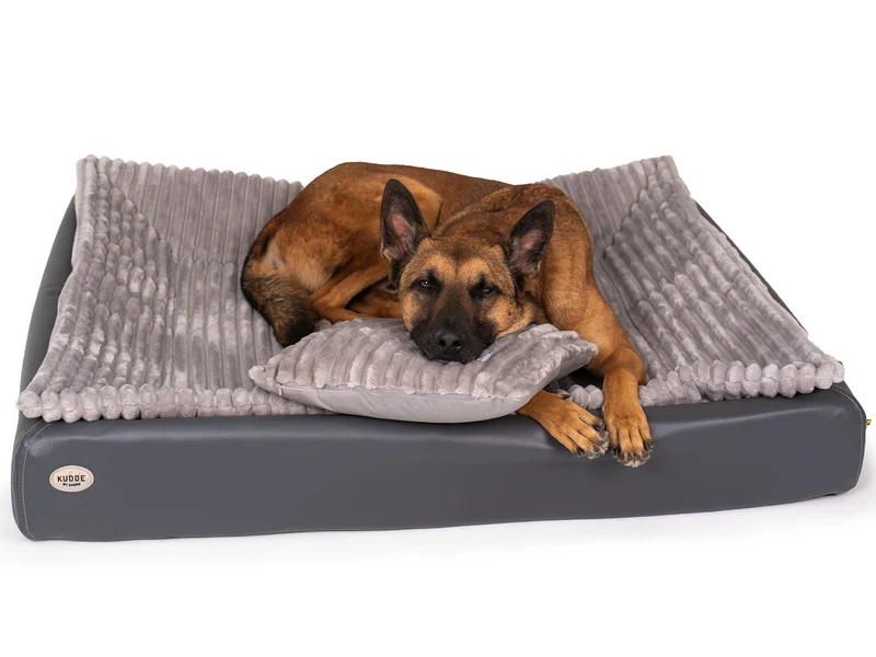 All-In Relax Bundle | KUDDE Hundebett + Einlage & Kissen