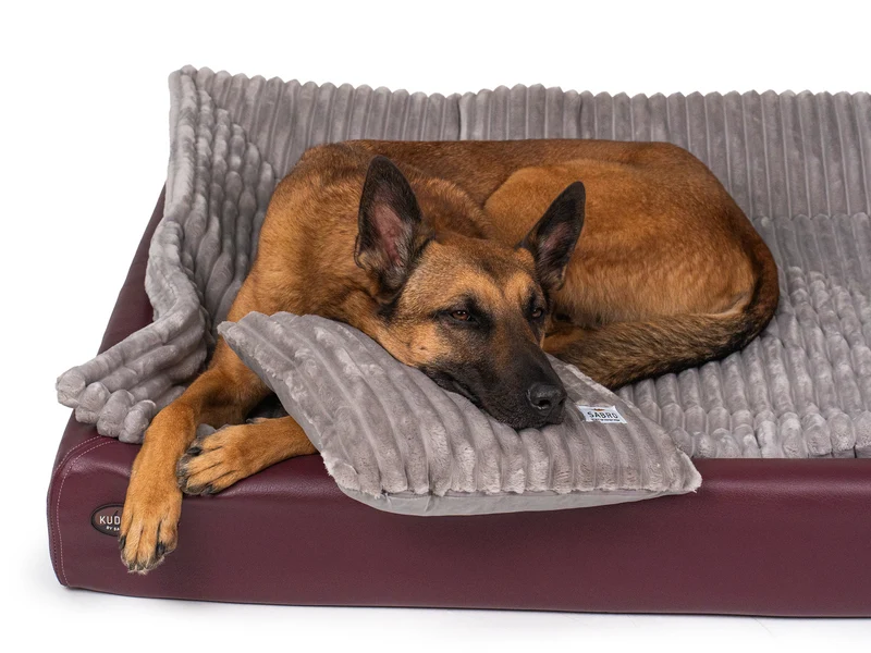 All-In Relax Bundle | KUDDE Hundebett + Einlage & Kissen