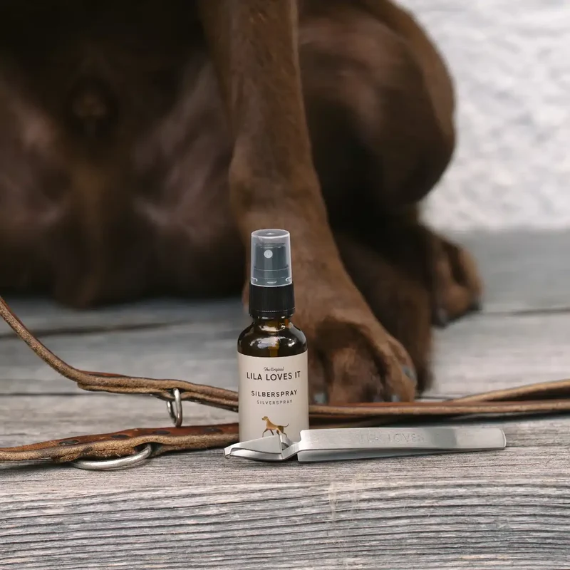 Silberspray + Aloe Vera