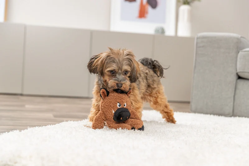 Hundespielzeug Plüsch-Monster mit Quietscher