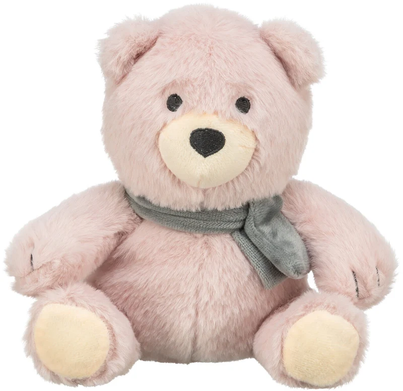 Teddy