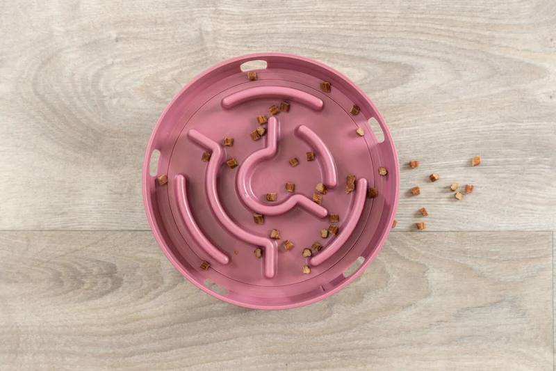 Strategiespiel Rocking Maze, Futterlabyrinth für Katzen