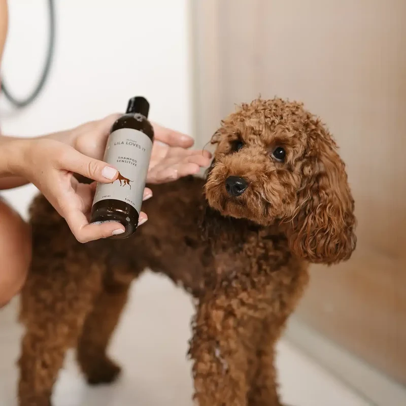 Shampoo Sensitive