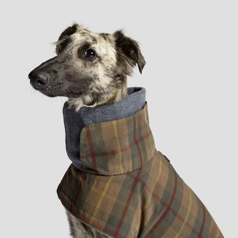 Hundemantel Brooklyn Waxed Tartan