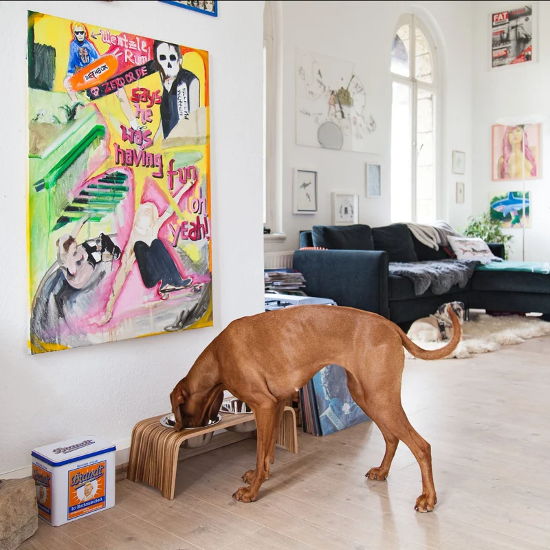 dogBar® Nussbaum