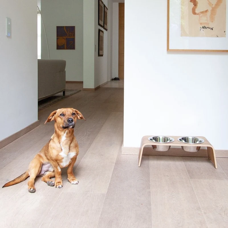 dogBar® Eiche hell