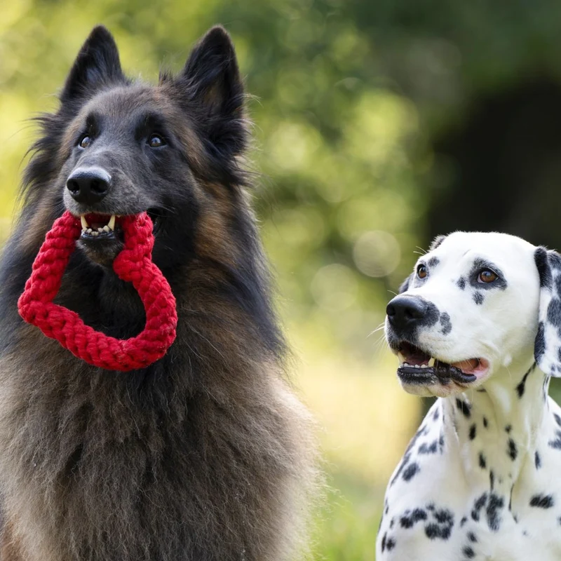 Hundespielzeug Hertha Heart