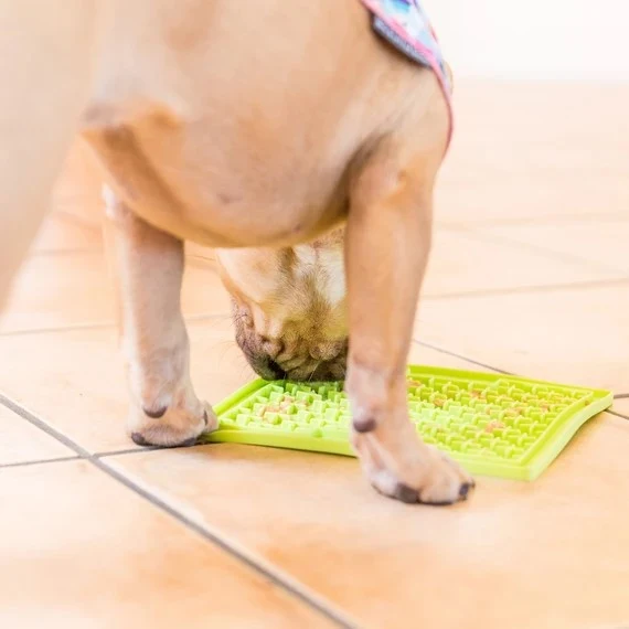 Buddy Schleckmatte Orange