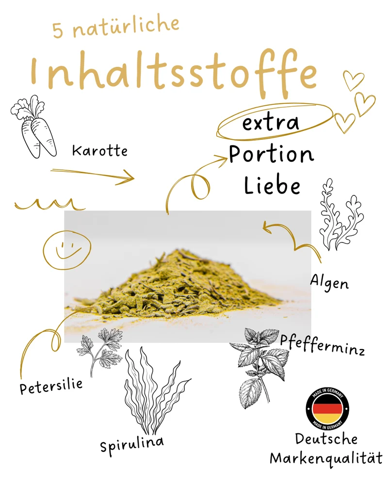 Riolino FreshBite – Natürliche Zahnpflege für Hunde