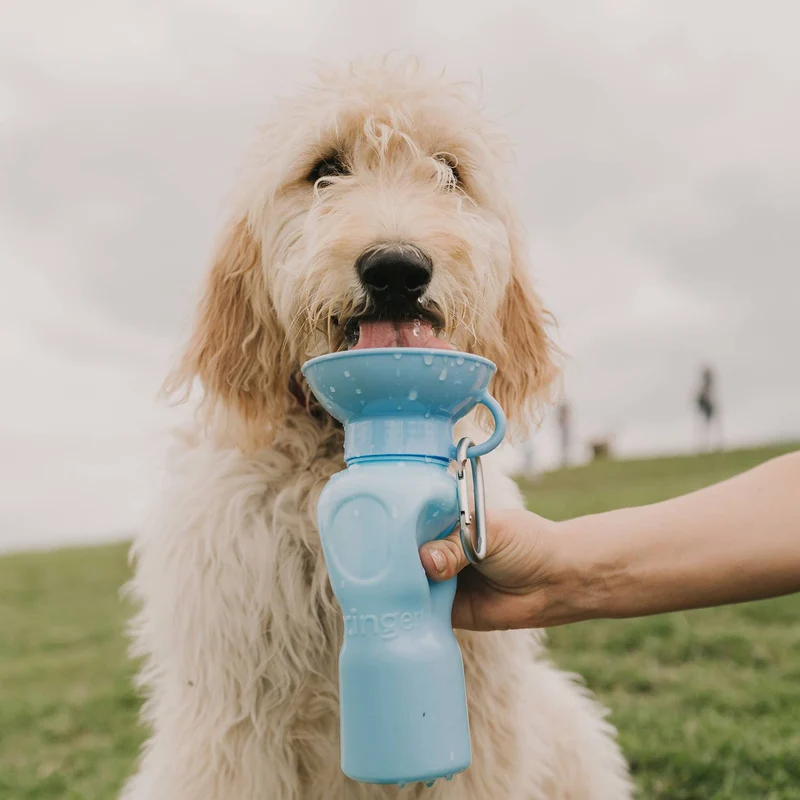 Reiseflasche Klassik für Hunde 650ml Hellblau