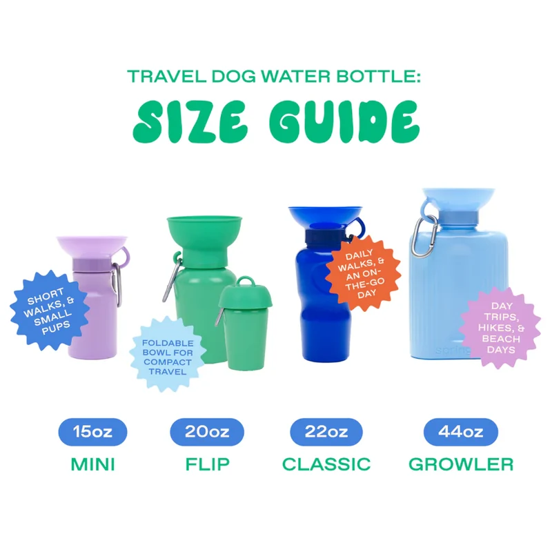 Reiseflasche Klassik für Hunde 650ml Hellblau