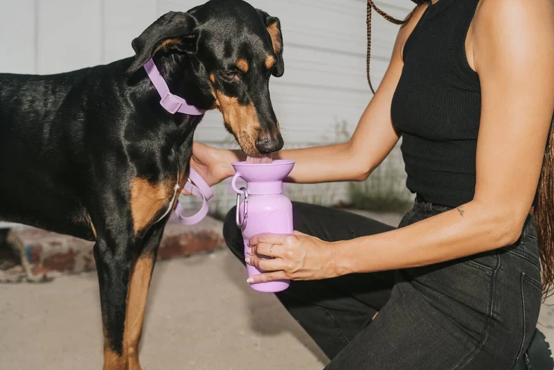 Reiseflasche Klassik für Hunde 650ml Flieder