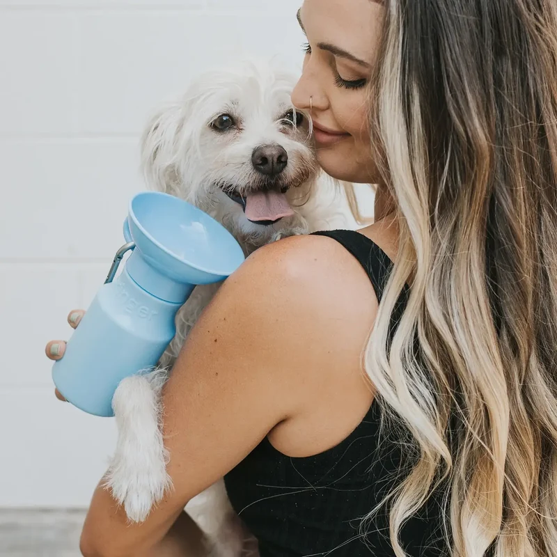 Mini-Reiseflasche für Hunde 440ml Blau