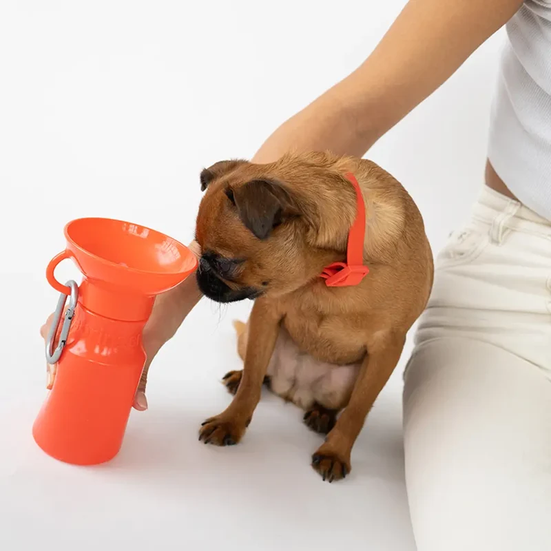Mini-Reiseflasche für Hunde 440ml Blau