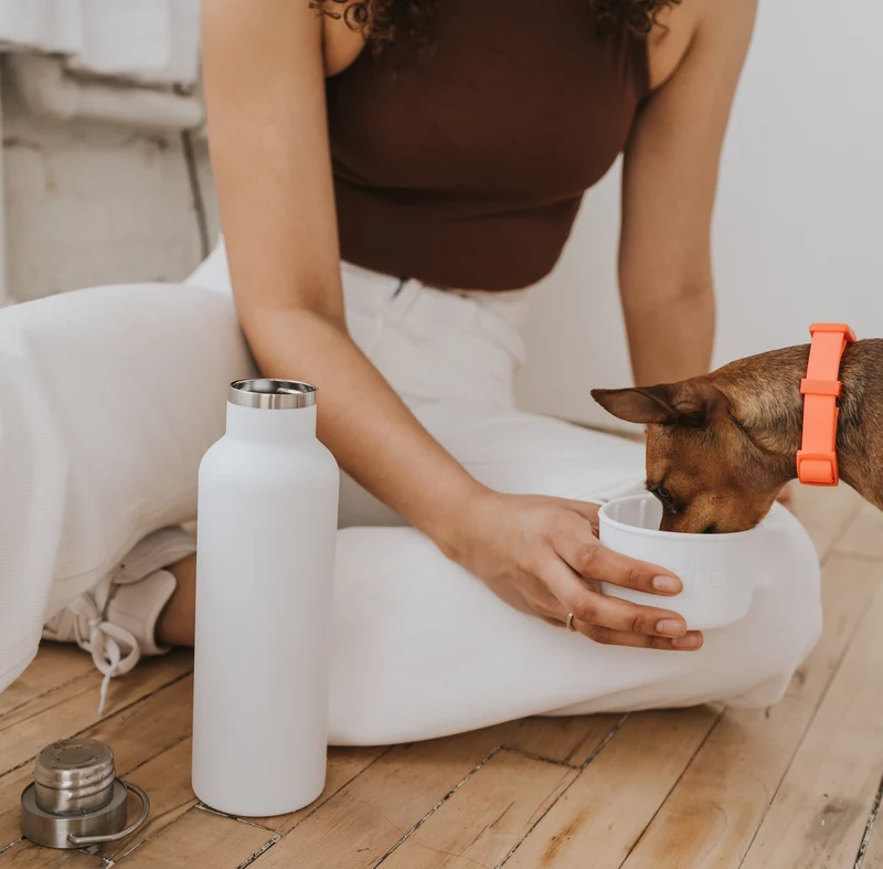 DOG & ME Isolierte Wasserflasche