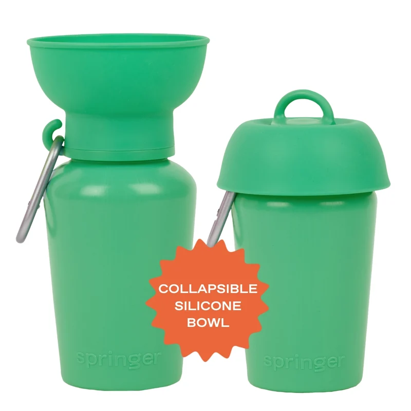 Reiseflasche Flip für Hunde 590ml Grün