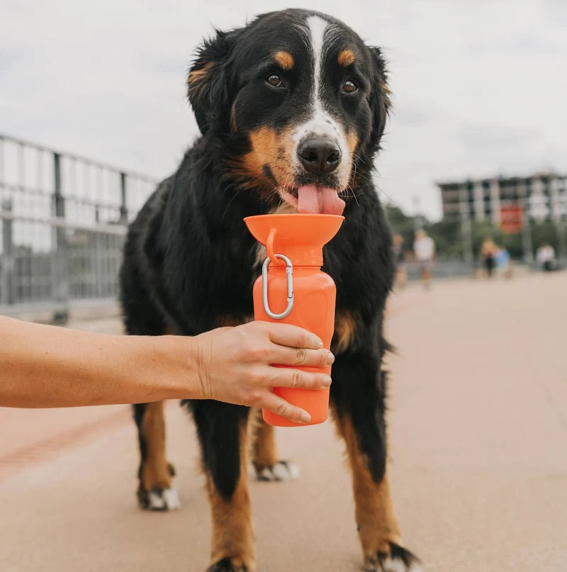 Reiseflasche Klassik für Hunde 650ml Mohnblume