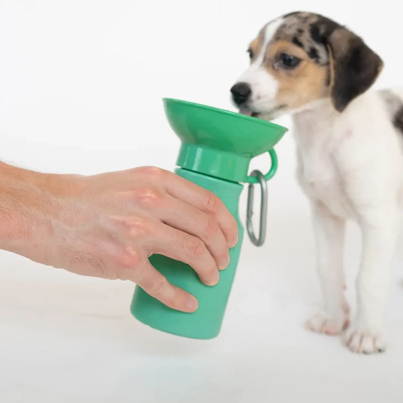 Mini-Reiseflasche für Hunde 440ml Grün