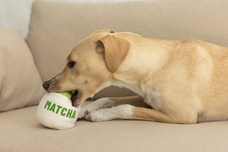 Plüschspielzeug Matcha Tasse - handgefertigt