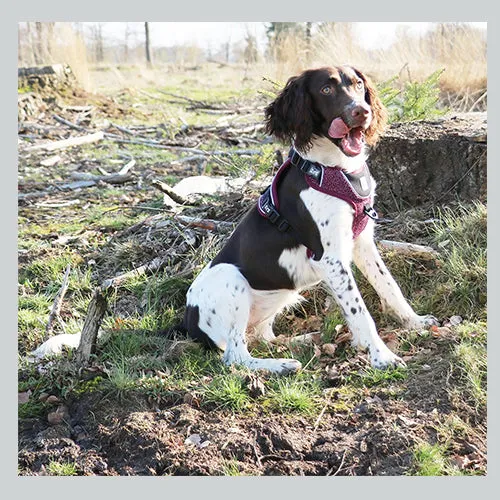 Hundegeschirr Ultimate fit no pull