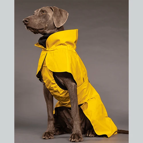 Hundemantel Visibility Raincoat Yellow