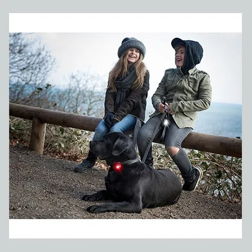 Licht für Hund Orbiloc Dog Dual - Twin Pack Safety Light