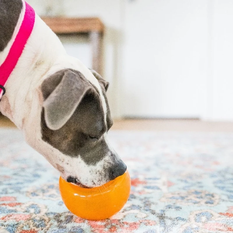 Orbee Tuff Snoop Orange