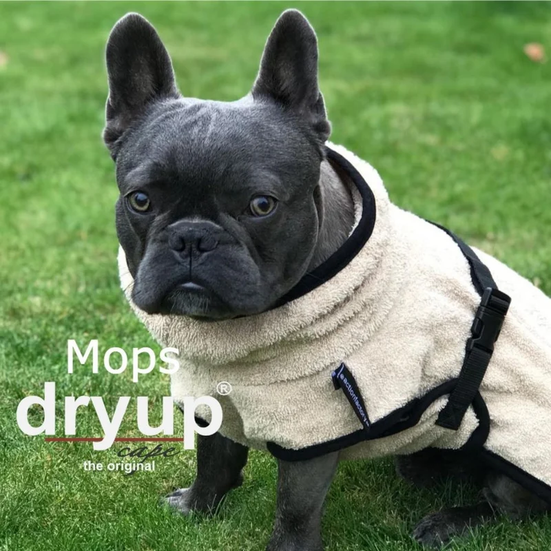 Dryup Cape Hundebademantel Mops und Bulldogge Sand
