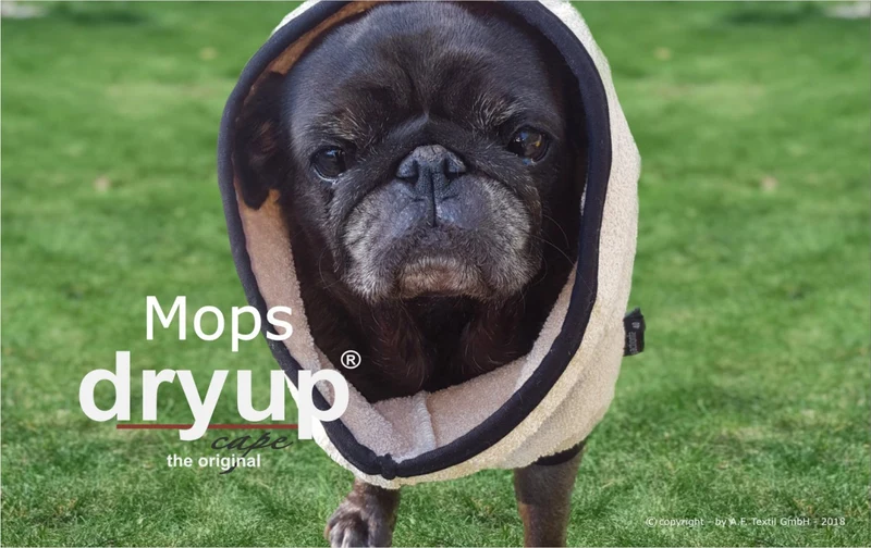 Dryup Cape Hundebademantel Mops und Bulldogge Sand