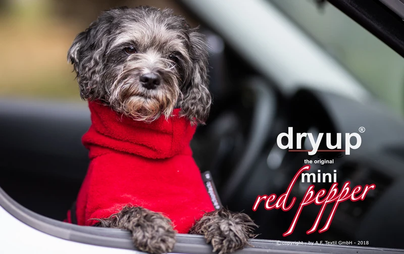 Dryup Cape Hundebademantel Mini Red Pepper