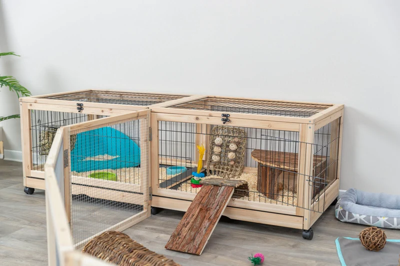 Indoor Gehege