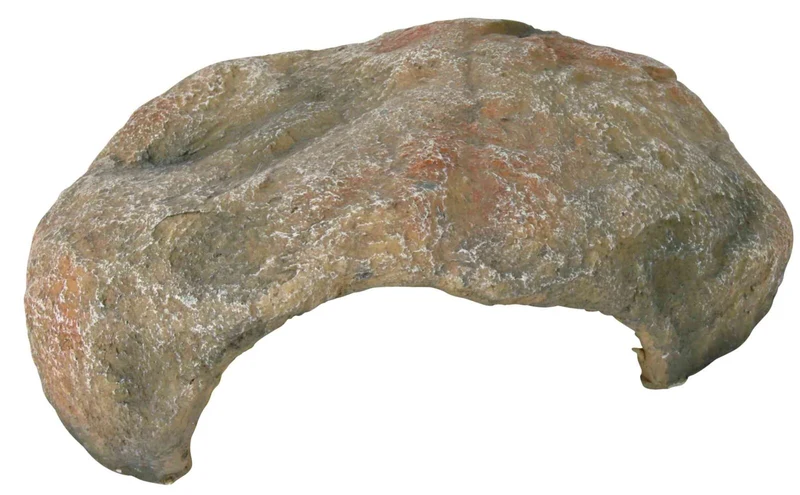 Reptilienhöhle
